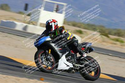 media/Feb-03-2024-SoCal Trackdays (Sat) [[767c60a41c]]/11-Turn 16 (2pm)/